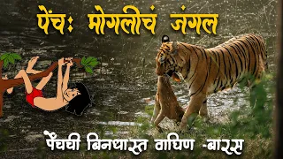 Pench Jungle Safari | Pench National Park Madhya Pradesh | Pench Tiger Reserve | Pench Tiger Safari