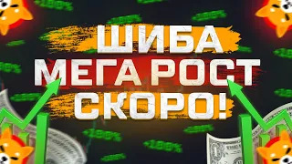 ШИБА СРОЧНО! ЭТО ТОЧНО ВАС УДИВИТ! МЕГАРОСТ УЖЕ БЛИЗКО!