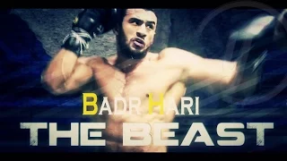 HIGHLIGHT: Badr Hari - His kickboxing era - The BEAST