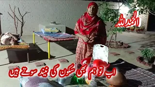 ab to ham bhi skoon ki nrend sotey Hain | Pakistani Family Vlogs|Punjabi Pendu Vloger