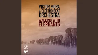 Walking With Elephants