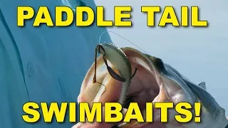 Best Paddle Tail Swimbait Tips for Bass Fishing (These Work!) | Bass Fishing