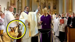 He Was About To Become a Priest, Then Dog Sees Something ODD & Quickly Stops The Ceremony!