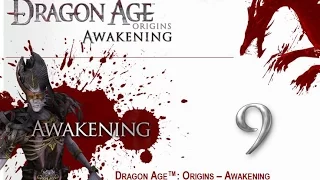 Прохождение Dragon Age: Origins - Awakening. Часть 9. Кэл Хирол.