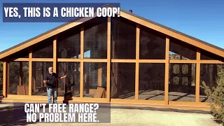See Our Largest Chicken Coop | Can't Free Range? No Problem, This Coop Has it All