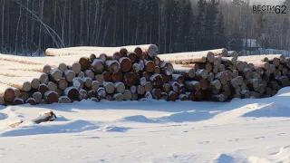 Переработка отходов лесопиления может быть такой.