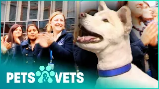 Amazing Dog Learns Sign Language | Paul O'Grady For The Love Of Dogs