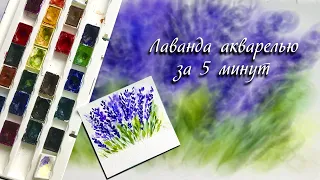 Как нарисовать лаванду акварелью. Рисуем лаванду за 5 минут. Открытка с лавандой. Лёгкий рисунок.