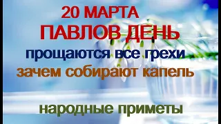 20 марта-ПАВЛОВ ДЕНЬ.Весеннее равноденствие.Капельник.Икона Божией Матери«Споручница грешных"Приметы