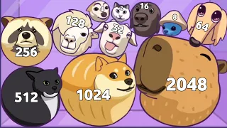 MERGE CAPYBARA 3D - ASMR Gameplay (Animal Drop Puzzle, Level Up Animals 2048 Math)