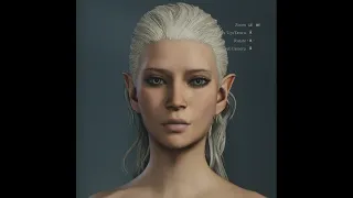 Dragon's Dogma 2 Waifu