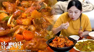 Real Mukbang:) No-fail "Braised Spicy Chicken stew" recipeㅣShrimp-Jeon, Soju