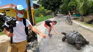 Cea mai frumoasa insula din lume se afla in Seychelles: La Digue 🇸🇨