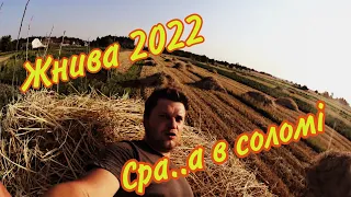 Жнива 2022! Зібрав пшеницю і повозив солому