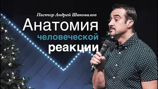 Пастор Андрей Шаповалов «Анатомия человеческой реакции» | «Anatomy of a human reaction»