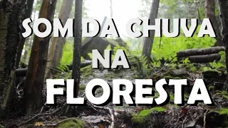 Som da Chuva + Floresta e Pássaros 3D - Dormir, relaxar e estudar.