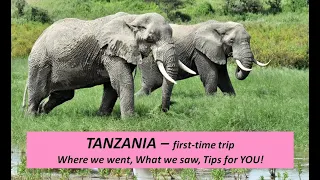 Tanzania Safari - Birds and Animals of Ngorongoro and Tarangire