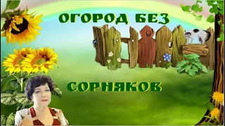 Огород без сорняков