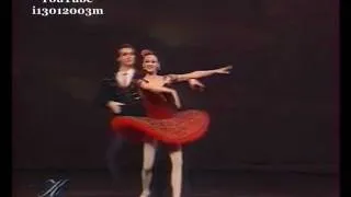 Galina Stepanenko-Yuri Klevtsov-"Don Quixote" Grand Pas Act 3 10/10