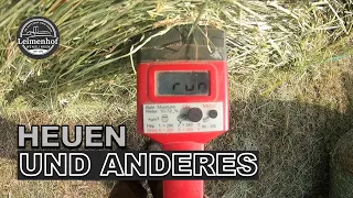 BODENHEU #FarmVlog 128