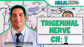 Neurology | Trigeminal Nerve: Cranial Nerve V