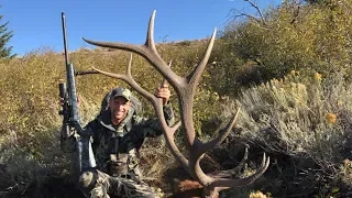 Dandy 6x6 Idaho Elk Hunt - Stuck N the Rut 101
