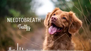 🇺🇸 NEEDTOBREATHE - Testify