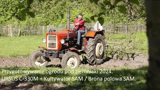 Przygotowywanie ogrodu pod ziemniaki 2024. URSUS C-330M + Kultywator SAM/Brona polowa SAM.