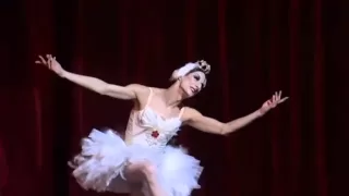 Hillarious Parody of Michael Fokine's Choreography of THE DYING SWAN. Dancer - Ida Nevaseyneva.