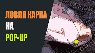 Ловля карпа на pop-up