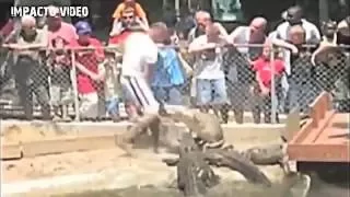 Amazing Wild Animals Attack Human 2016   Giant Snake(Crocodile) Attack Human