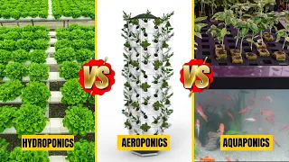 This INSANE Farming Method Grows MORE Food with LESS Water! Aeroponics vs Hydroponics vs Aquaponics