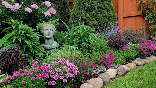 Weekly Garden Tour and Walkabout - Early June Blooms and Colorful Foliage 💐🌿🌼// Suburban Oasis