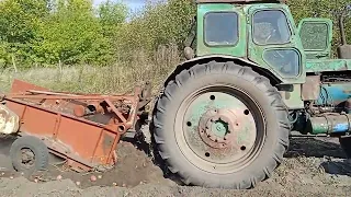 Сельская жизнь, помогаем копать  соседям картошку, трактор т-40, двухрядная картофелеполка.