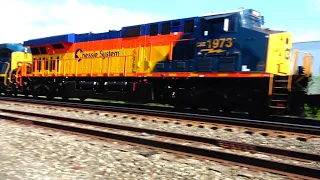 Bugs Bunny The Railfan! Chessie Heritage Unit Looking Shiny New! NS Freight Train Rumbles By + More