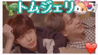 これがモネクのトムジェリ【MONSTA X】日本語字幕