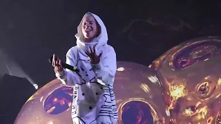 Die Antwoord - Enter the Ninja (live at Budapest reanimated tour 2024)