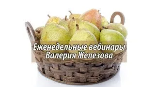 Вебинар №60. Садоводство глазами Валерия Железова. Вопросы.