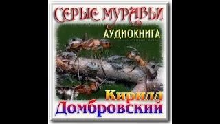 К. Домбровский. "Серые муравьи". Часть 1(1). Аудиокнига