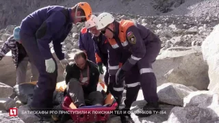 Профессиональный праздник отмечают пожарные, кинологи, летчики