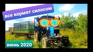 Заготовка кормов 2020. Поле за полем! Дон 680м