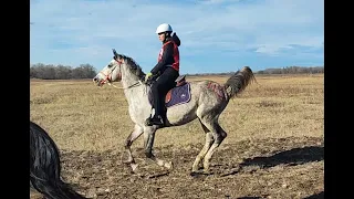 КБР. Кабардино-Балкария. Пробежный турнир 80 км. 25 ноября 2023. Урочище Красный Гедуко