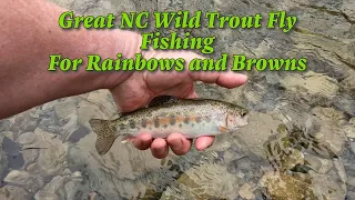 Great North Carolina  Wild Trout Fly  Fishing