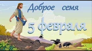 5 февраля "Доброе семя",  аудио-календарь на каждый день