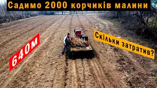 Посадив 2000 саджанців МАЛИНИ🔥Відкриваю власний БІЗНЕС?😂👌