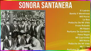 Sonora Santanera 2024 MIX Las Mejores Canciones - El Ladrón, Bonita Y Mentirosa, Mil Horas, La Boa