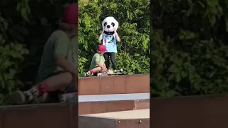 Luc Lulka Skating big ramps in a Panda Mask - Don't try this at home (SPC)