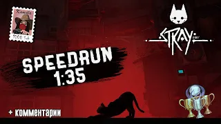 Stray. Speedrun. Прохождение за 1:35. Трофей Скорокот (Kamila, PS5)