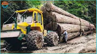 99 Incredible DANGEROUS Big Tree Harvester Machines And Powerful Transporter