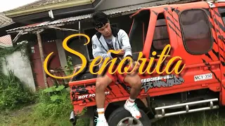 SEÑORITA dance cover Djnoiz (Dc:DizeAkira)